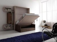 Шкаф-кровать с диваном 1-052